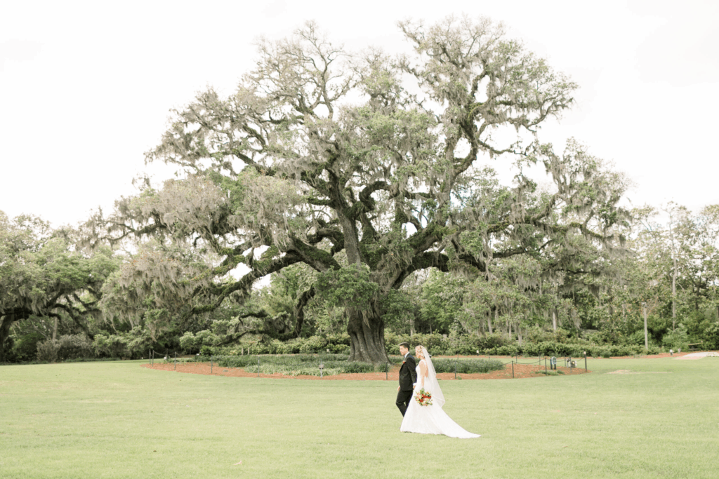 Airlie Gardens willow tree bride and groom